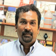 Shaji RV