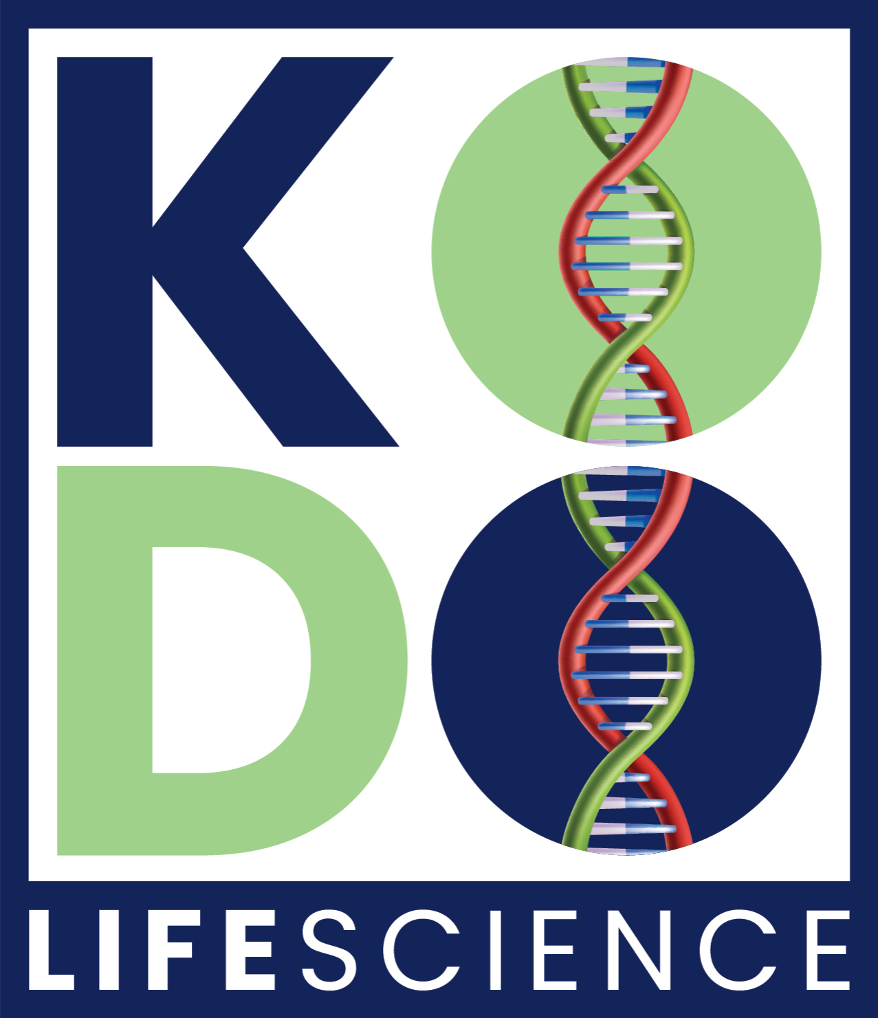 Kodo